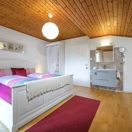 Haus Knapp 6er Apartment Harbach (St. Johann im Pongau)